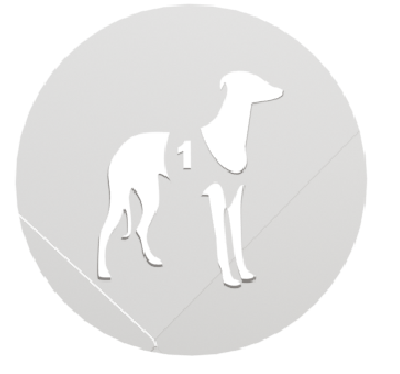 Galgos